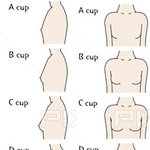 [19] 이거 가슴 사이즈 ㄹㅇ임?