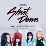[모두드루와] 블핑 <b>컨셉</b> 피로감 새끼 나와라