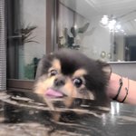 [군대] 오늘 <b>김연탄</b> 생일이래