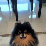 [방탄소년단] 탄이 너무 <b>귀여웅</b>