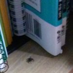 [19] 혐)애기고삼 공부 중 ㅈ될뻔