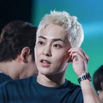 대체불가 존재감 <b>뚜렷</b>한 비주얼들