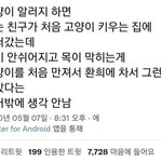 고양이 <b>알러</b>지 있는 친구