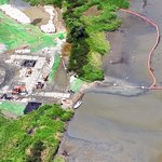 [댓글부탁해] 헐 <b>멸종</b>위기 철새들 위험하대