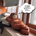 [드루와] 귀신들이 밤에 더 <b>활발</b>한 이유가 뭘까