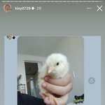 아 홍영기 <b>아들</b> 개웃김ㅋㅋㅋㅋㅋㅋㅋㅋㅋㅋㅋ