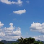 [ㅈㄱㄴ] 나 요즘 ㅈㄴ구두쇠 됨