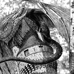 이 만화작가분 돌아가셨는데