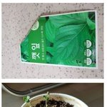 한국인의 빨리빨리 새로운 영역