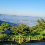 백의종군 선언한 장제원, 부산서 전한 소식…"많은 분들 만나"