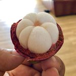 완벽주의자의 디저트 <b>타임</b>