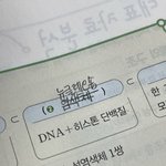 생명 해본 판녀ㅠㅠㅠㅠ 진짜 간단한거임