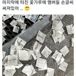 [<b>NCT드림</b>] 미쳤다ㅠㅠㅠㅠ