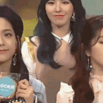 지수 <b>vs</b> 아이린 짤에서