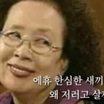 [NCT칠프] 왜저럴까앙