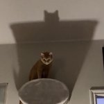 ㄹㅇ 심각한 <b>회피</b>형인데 ㅋㅋ