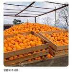 [군대] 애들 <b>올때</b>만 가지만 위버스도 재밌을<b>때</b> 있음