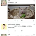 [드루와] 얘들아 아이패드 뭐 <b>사냐</b> 골라줘