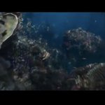 [댓글부탁해] <b>인어</b>공주 실사화 티저 본 사람