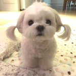 [댓글부탁해] 1년만에 <b>미대</b>가기 가능함?