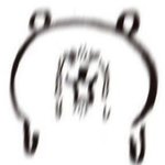 <b>농담</b>곰