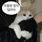 짝남꼬시는법!!!!!!!