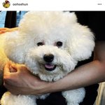 오세훈 요즘 왤케 서글서글해진거같지