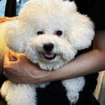 [세훈] 그래 나에겐 세훈이 <b>하나야</b>