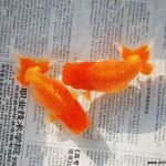 [드루와] 물과 관련된게 너무 좋음