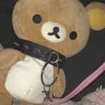 모동숲하는사람 ㅠㅠ
