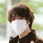 [방탄소년단] 털찐 미남ㅠㅠㅜ 갈색<b>푸들</b> 미남ㅠㅠㅜ