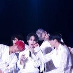 [NCT드림] 젠<b>집사</b>와 러냥이 눈물나