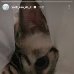 [BTOB] 삼이 잘 지내고 있었구나