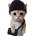 [ㅈㄱㄴ] 엠비티아이 과<b>몰입</b>은 아닌데 나는 진짜