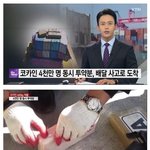 코카인 역대급 배송 오류