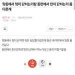 [NCT드림] 이 분 에스엠에서 <b>캐스팅</b> 안해가냐?
