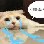 얘들아 인스타스토리 본 <b>순서</b>