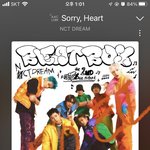 [NCT드림] 스밍 돌릴때