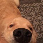 [드루와] 진짜 피부 안좋은애들 이렇게해봐