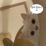 환승연애 <b>규민</b> 왤케 욕먹는지 이해안됨