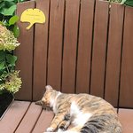 [NCT드림] 오늘 <b>서울숲</b> 마크 의자에