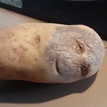 밥 먹고 몇 <b>kg</b>까지 늘어나봤어?