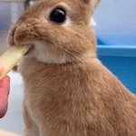 <b>올해</b> <b>대학</b>가는게 유리한게