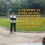 <b>주님</b>의 공원  버스킹 ^ ^ (여호와의 유월절-시와 그림 ,유튜브...