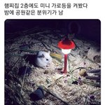 [댓글부탁해] 더러운 이야긴데 <b>배꼽</b> <b>때</b> 있잖아..