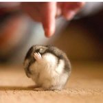 [드루와] 아 <b>코빅</b> 개싼티난다 뭐냐