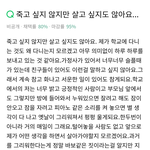 지식인 <b>답변</b> 개충격임..
