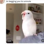 [방탄소년단] 탐라 내리다 <b>뜬금</b> 터짐(춤추는 석진이 짤털)