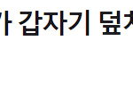 개에 물린 두 자매... 4세 <b>여아</b>는 중환자실