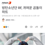 [군대] 남주니 출국기사 오타..
